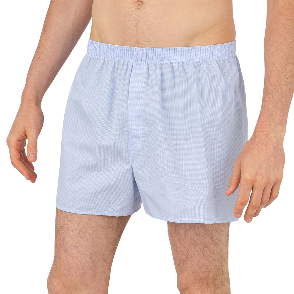 Sunspel - Blue White Cotton Micro Gingham Poplin Boxer Shorts | Baltzar