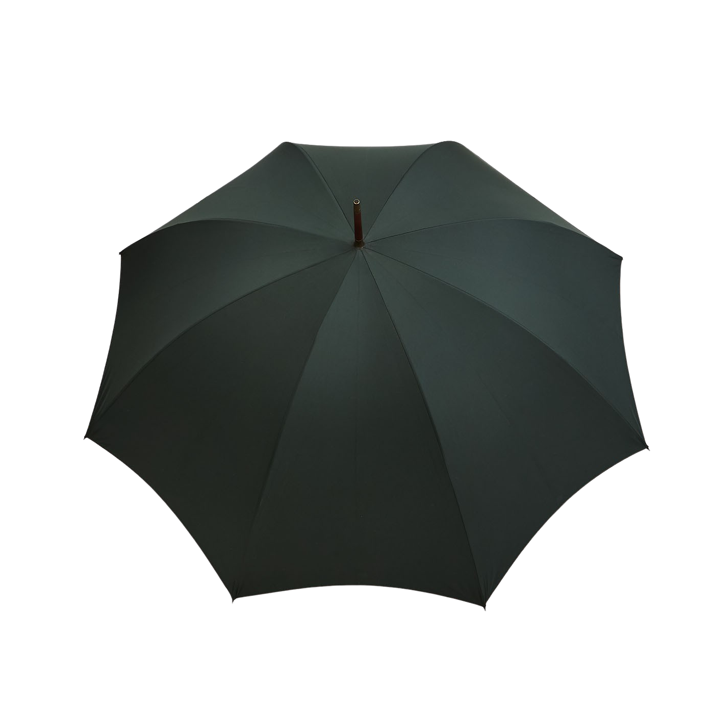 Fox Umbrellas Green Dark Hardwood Handle Umbrella Baltzar