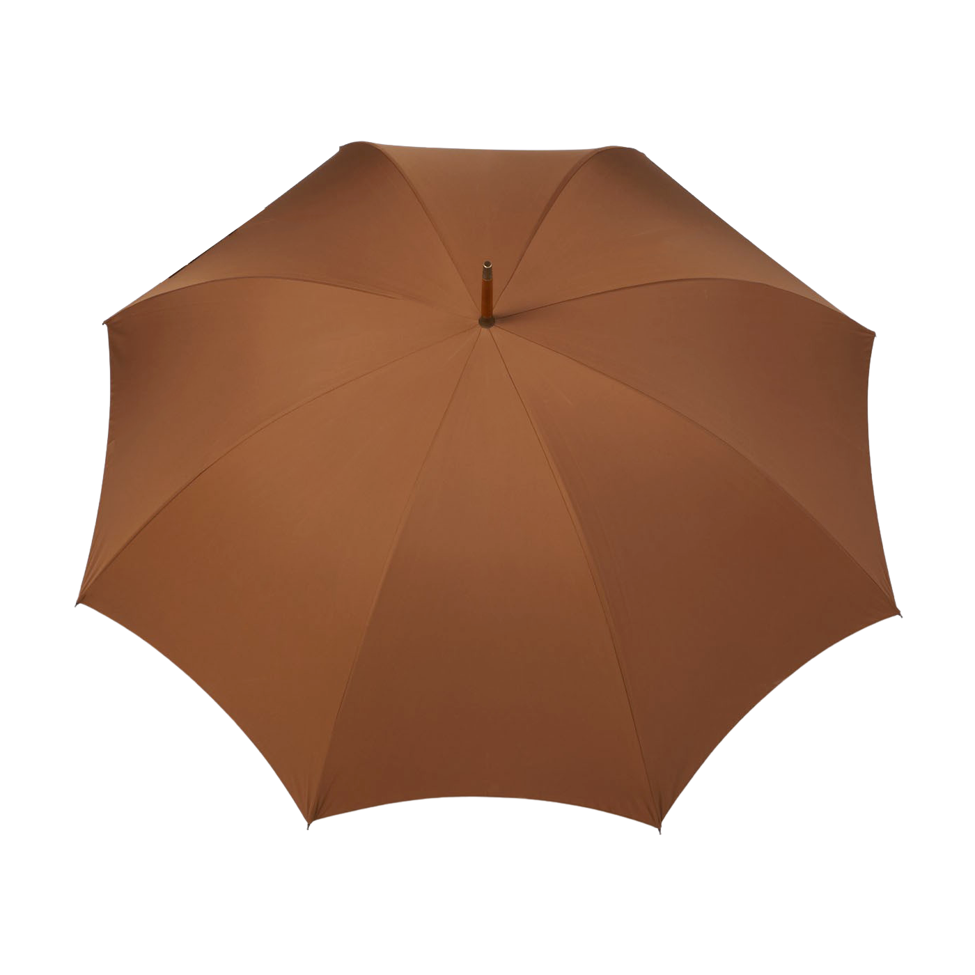 Light Brown Polished Maple Handle Umbrella